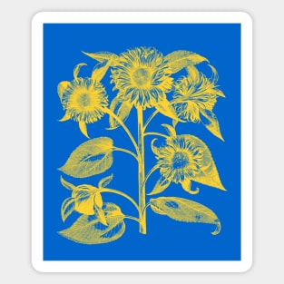 Sunflowers for Ukraine Magnet